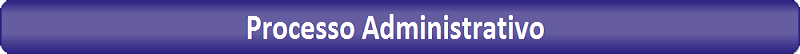 Processo administrativo 1