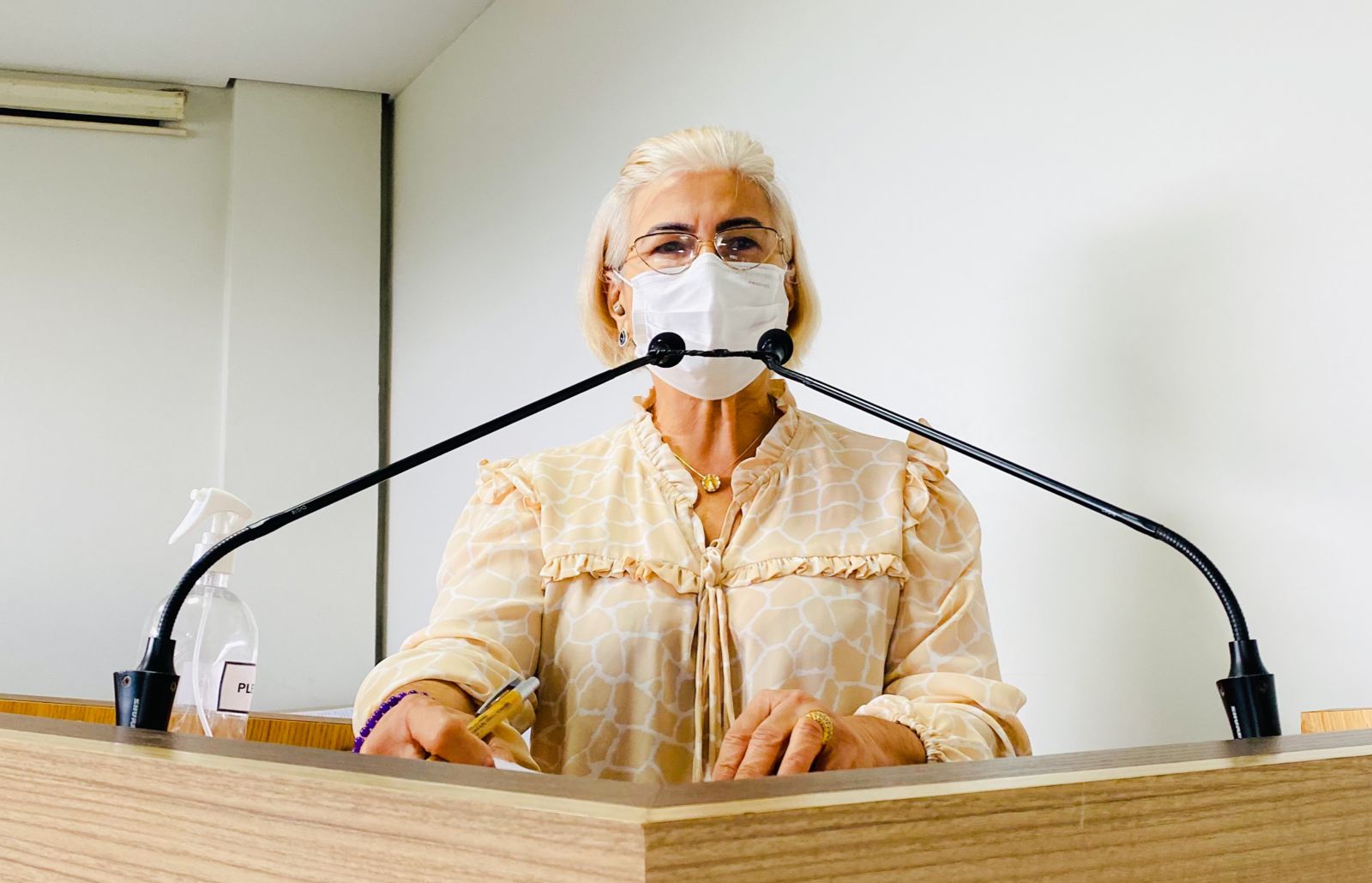  Em alusão ao Dia Nacional do Idoso, Câmara debate políticas de proteção e garantia dos direitos da pessoa idosa