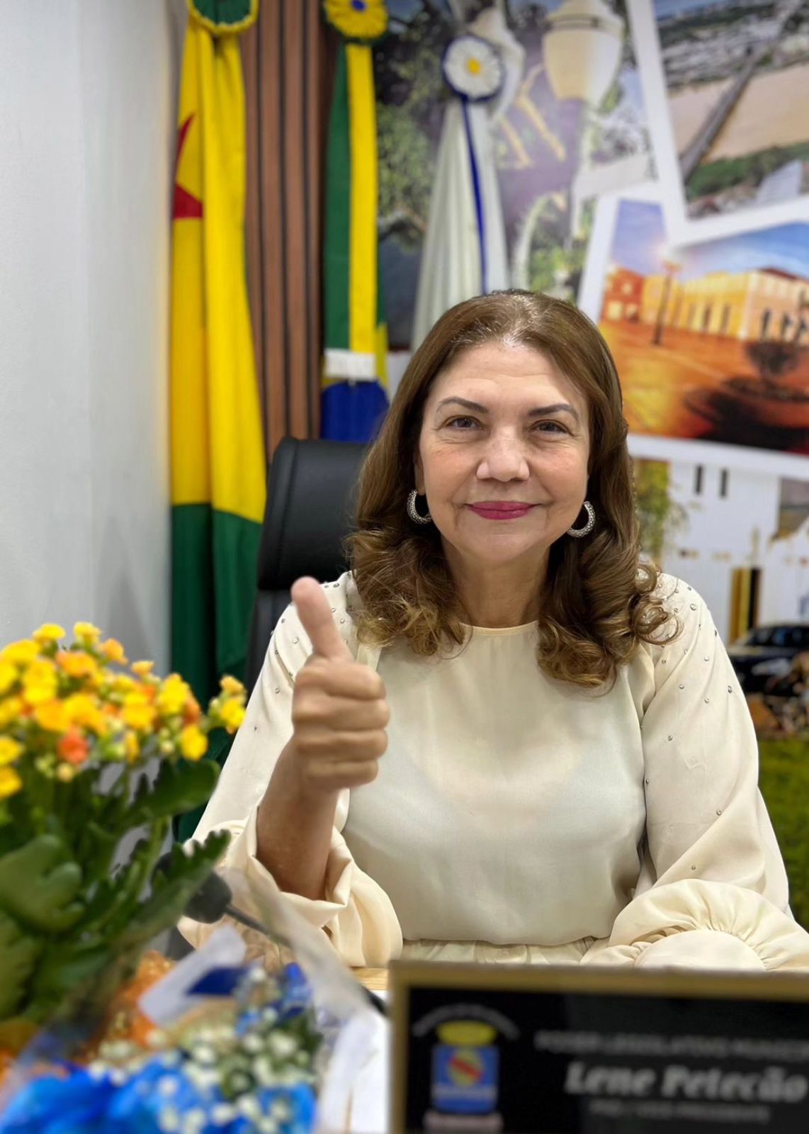 Após licença médica, vereadora Lene Petecão retorna a Câmara Municipal