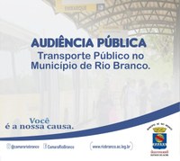 AUDIÊNCIA PÚBLICA 