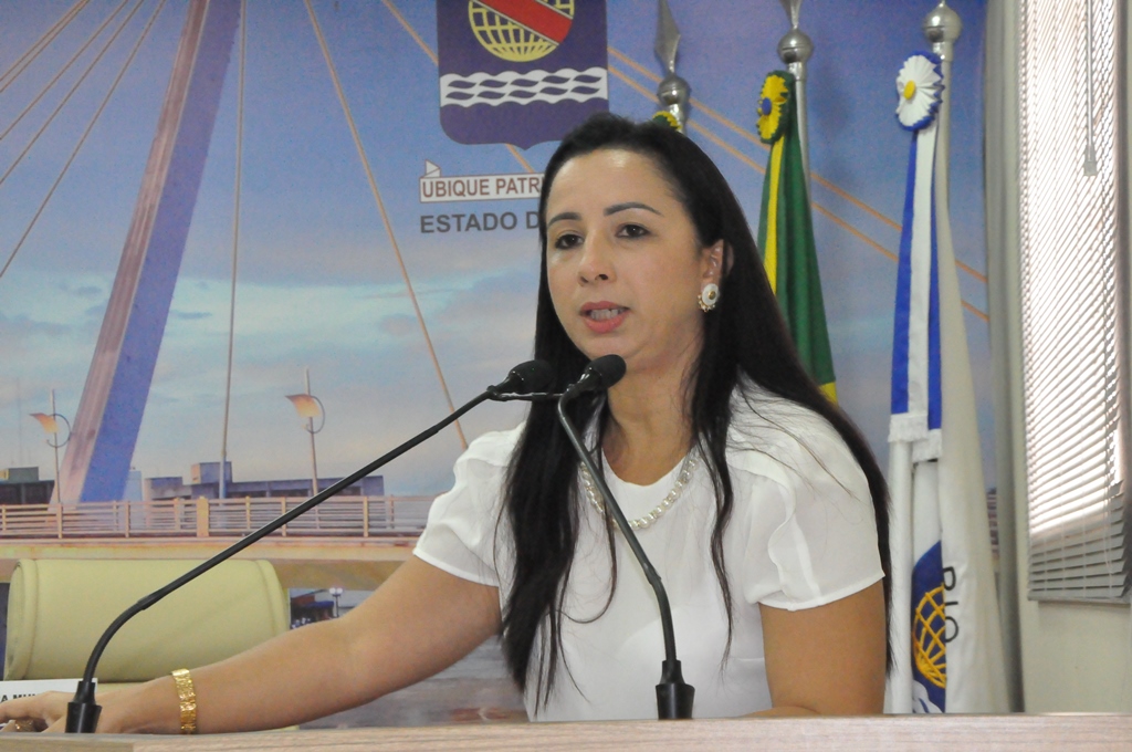 Elzinha Mendonça apresenta projeto de combate à violência contra mulher