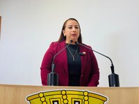 Elzinha Mendonça celebra o voto feminino e defende maior participação das mulheres na política