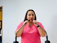 Elzinha Mendonça cobra a recuperação das 607 vias do Ruas do Povo