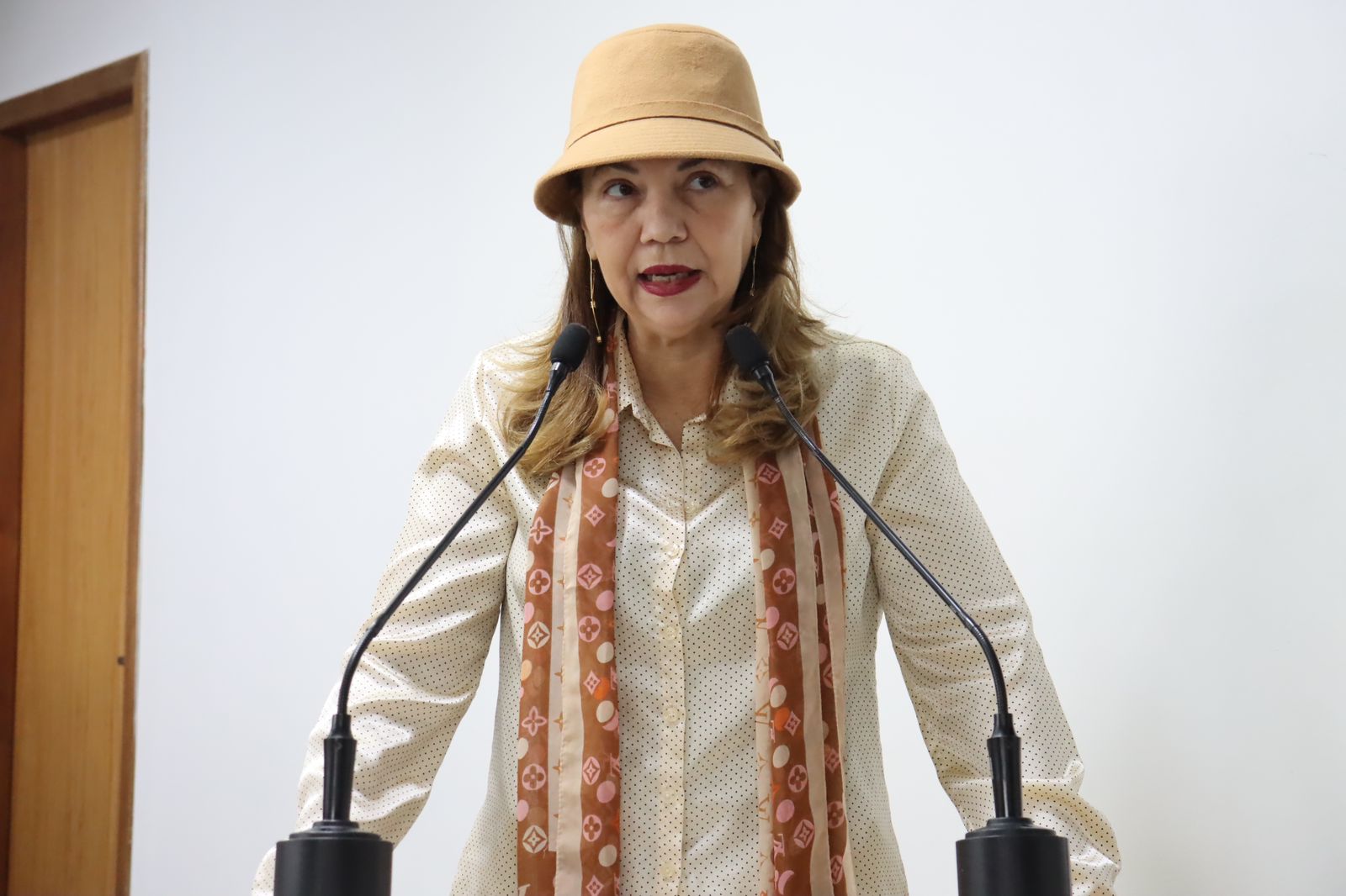 Lene propõe PL para reduzir carga horária de assistentes sociais na Capital