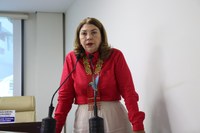 Na Câmara, Lene Petecão apresenta medidas preventivas contra enxurradas e alagação