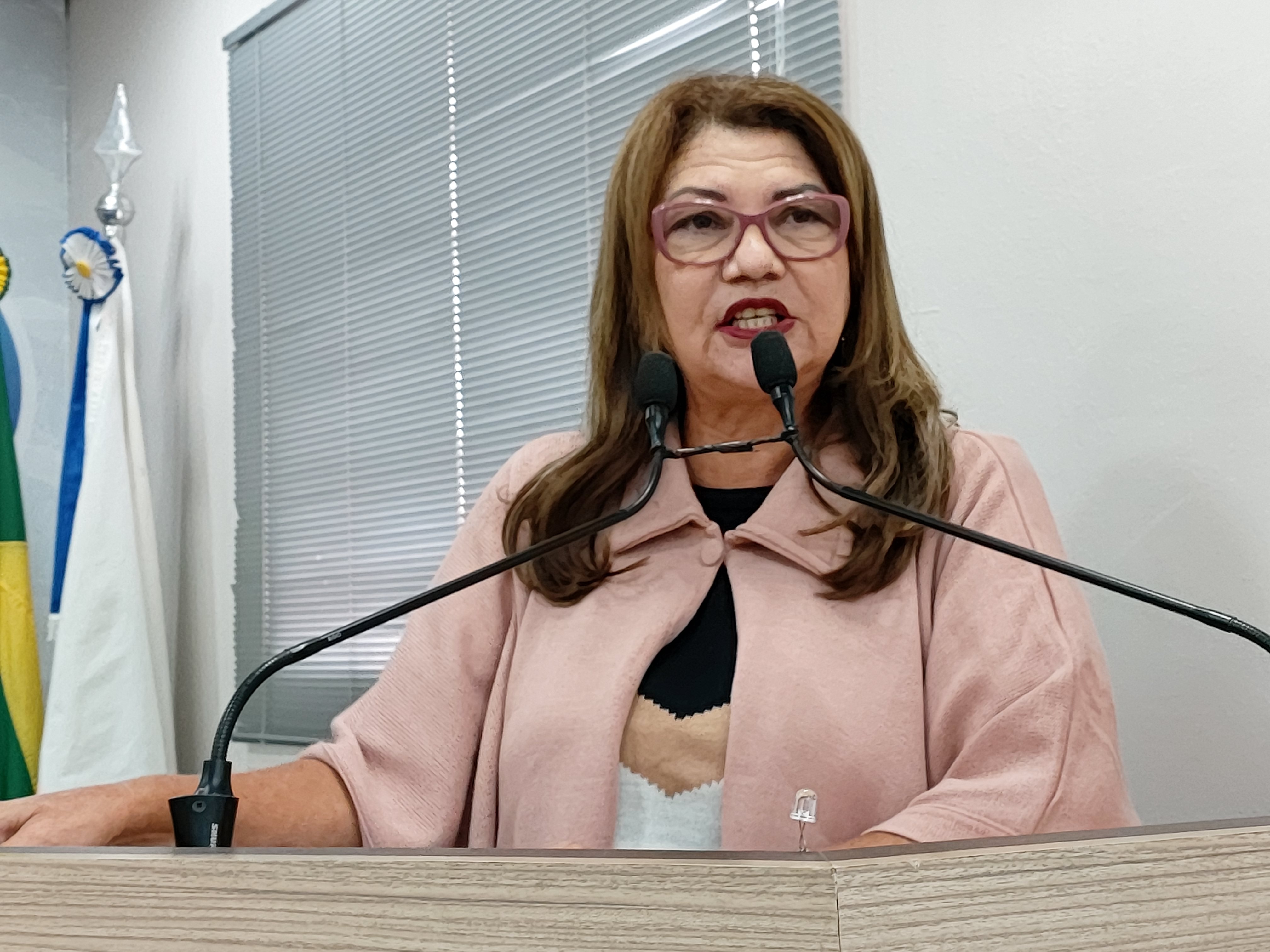 Vereadora Lene Petecão destaca a importância das ações de desinfecção nos espaços públicos